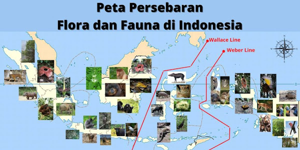[LENGKAP] Persebaran Flora dan Fauna di Indonesia