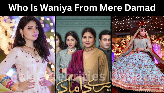 Who Is Waniya From Mere Damad