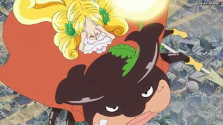 ワンピースアニメ ドレスローザ編 732話 小人 マンシェリー カブ | ONE PIECE Episode 732