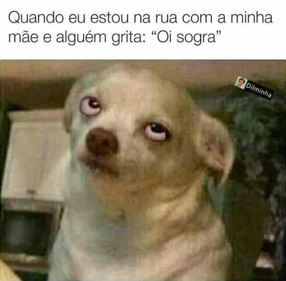 64 memes de cachorro para você ter na manga