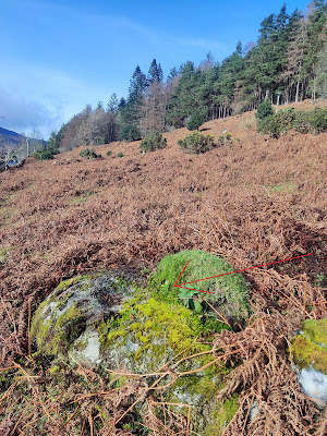 Bullaun Stone, Glendalough