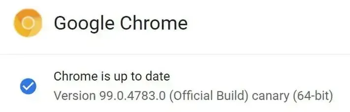 Chrome version 100