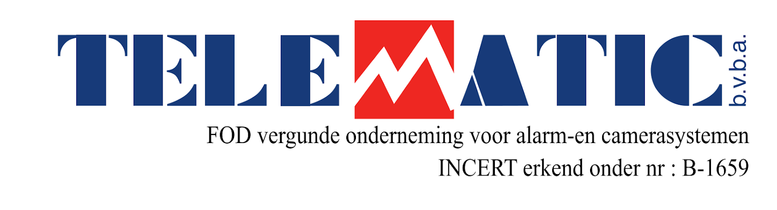 Footer Logo