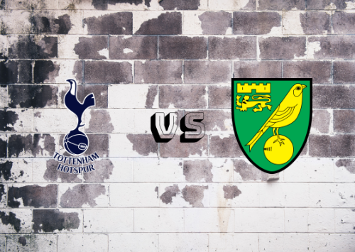 Tottenham Hotspur vs Norwich City  Resumen y Partido Completo
