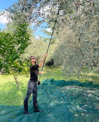 Ingrid Muccitelli attrezzo elettrico per raccogliere le olive