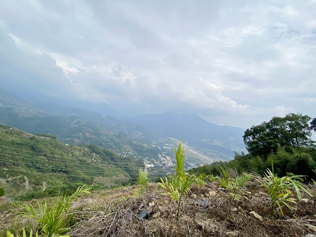 往大茅埔山