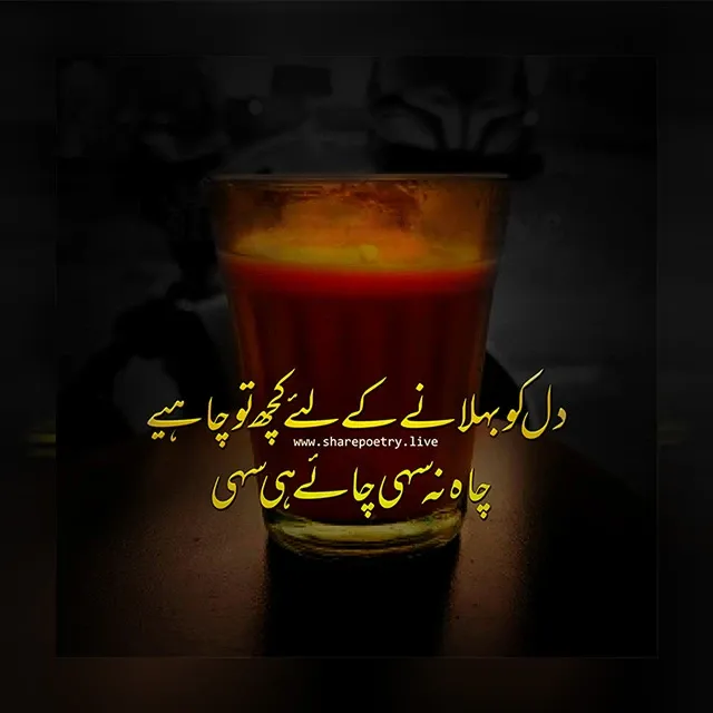 Chai Shayari In Urdu - Tea Poetry In Urdu Text - 2024 best urdu poetry