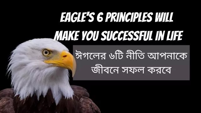 Eagle's 6 principles will  make you successful in life bangla