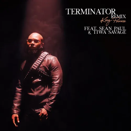 King Promise – Terminator (Remix) [feat. Sean Paul & Tiwa Savage] | Download Music MP3
