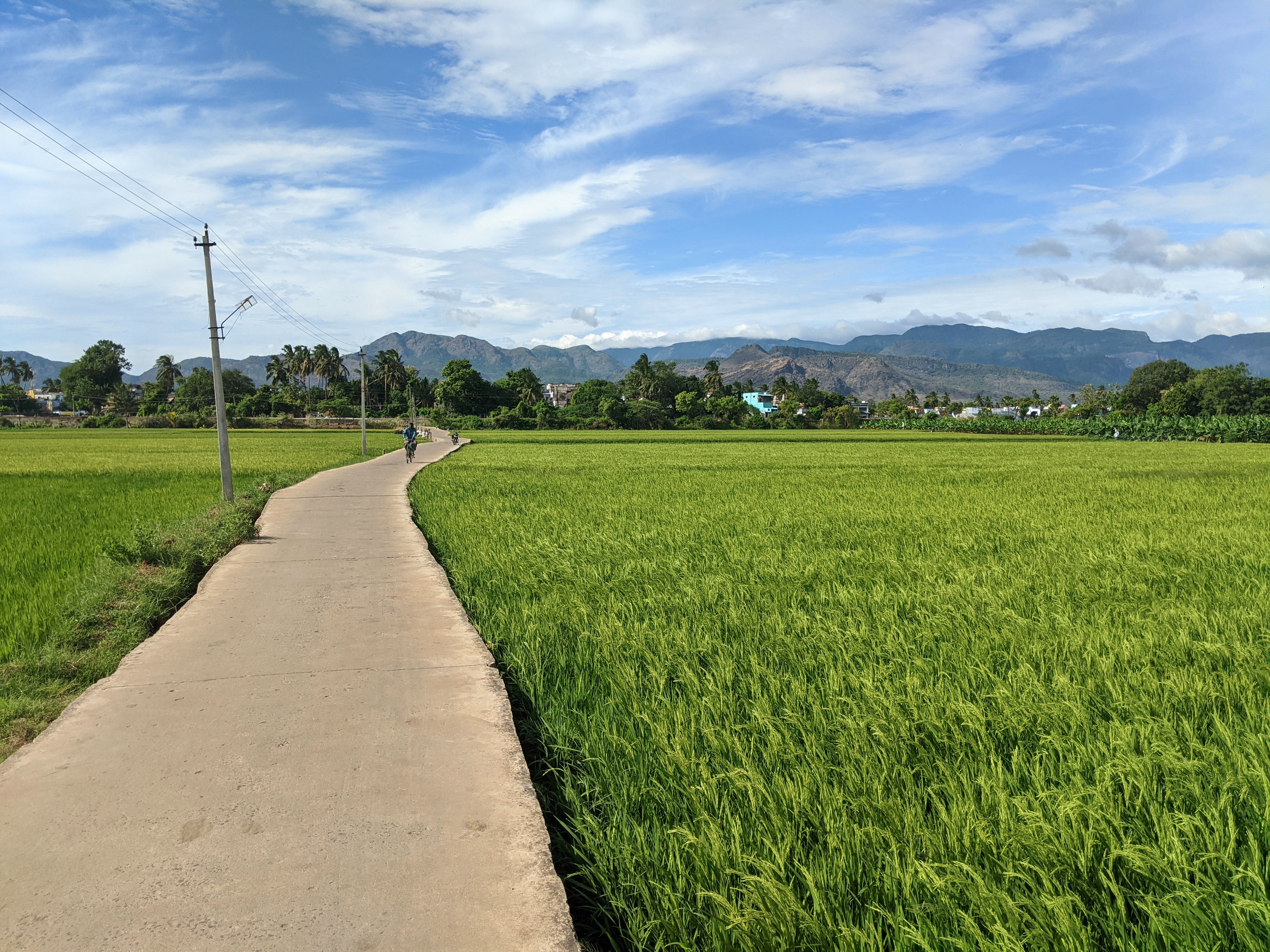 The road connecting Kallidaikurichi with the Thamirabharani river