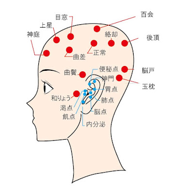 百会　ツボ　横から