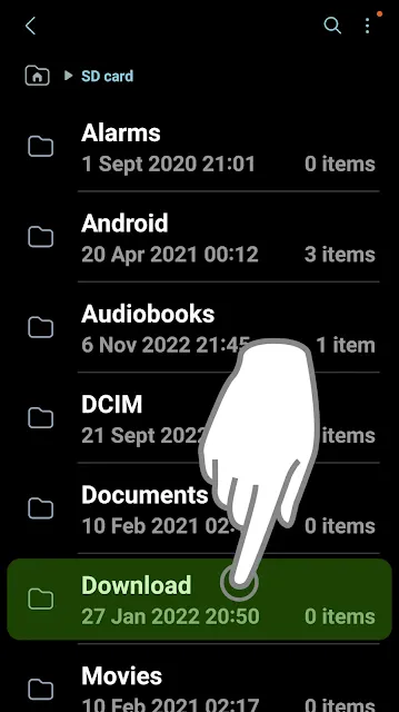 Download Folder in SD Card Picture