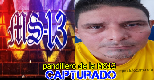 El Salvador: Capturan a peligroso pandillero de la MS13 alias "Topo" en Santa Ana