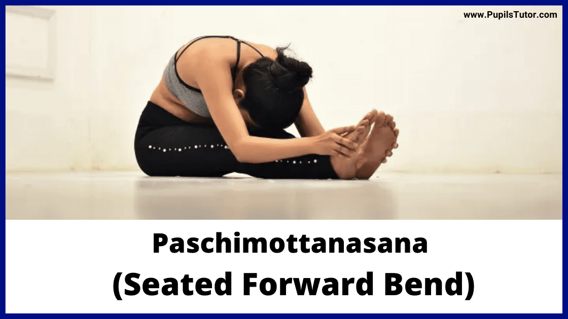 Paschimottanasana (Seated Forward Bend)