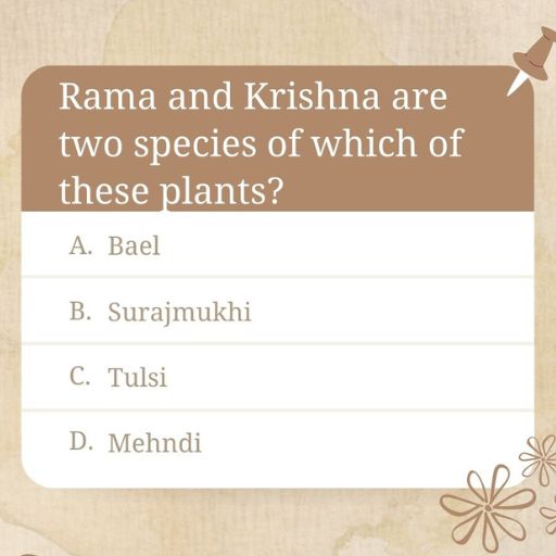 Rama and krishna are species of which plant | About for all