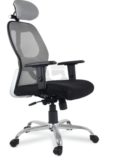 ETTOREZ High Back Mesh Home & Office Ergonomic Chair