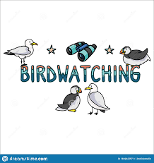 Bird Watching