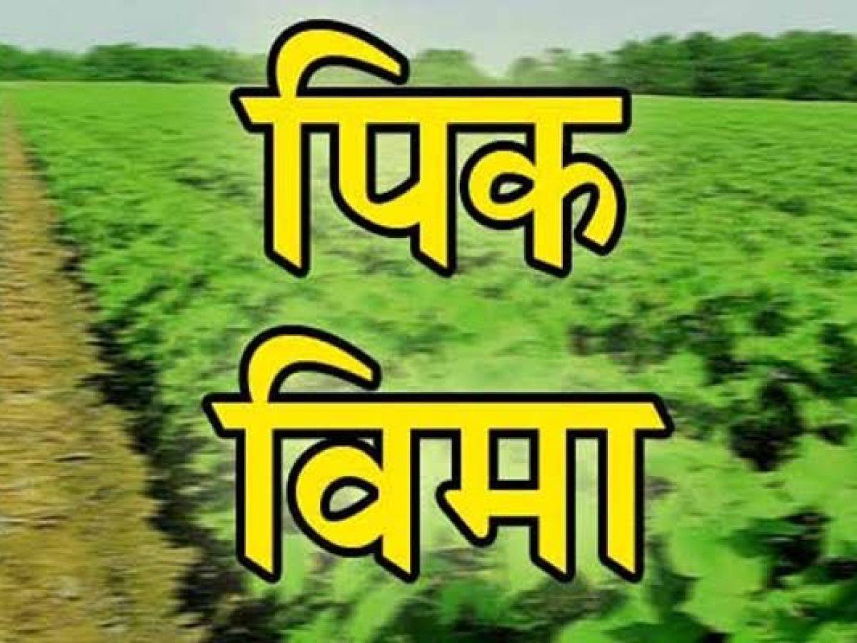 इमेज