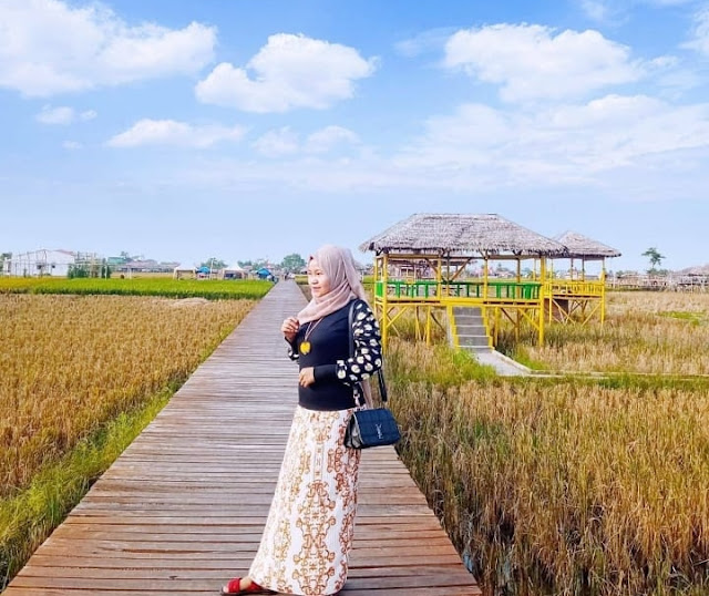 Wisata Sawah Pematang Johar Wisata Sawah Pematang Johar Daya Tarik