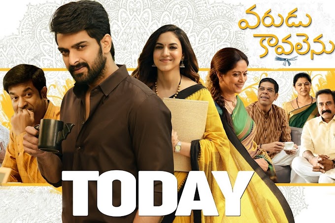 Varudu Kaavalenu Review