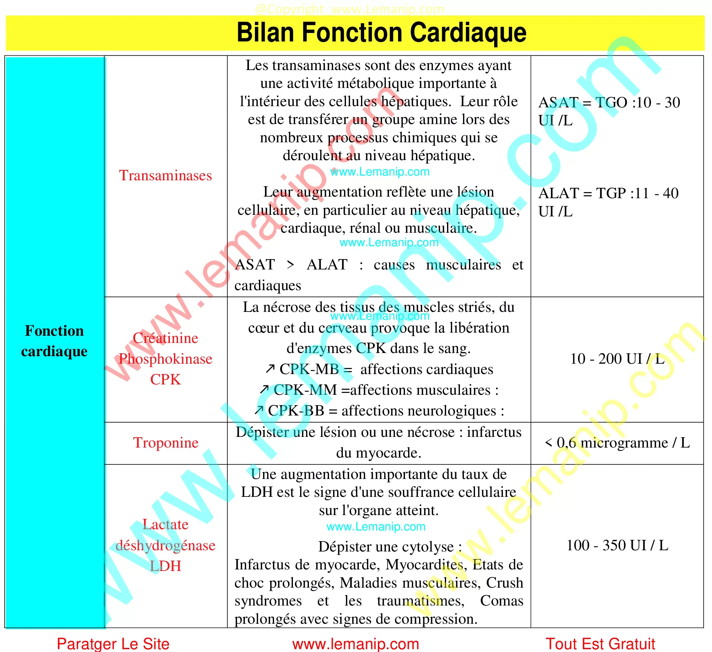 Bilan Cardiaque