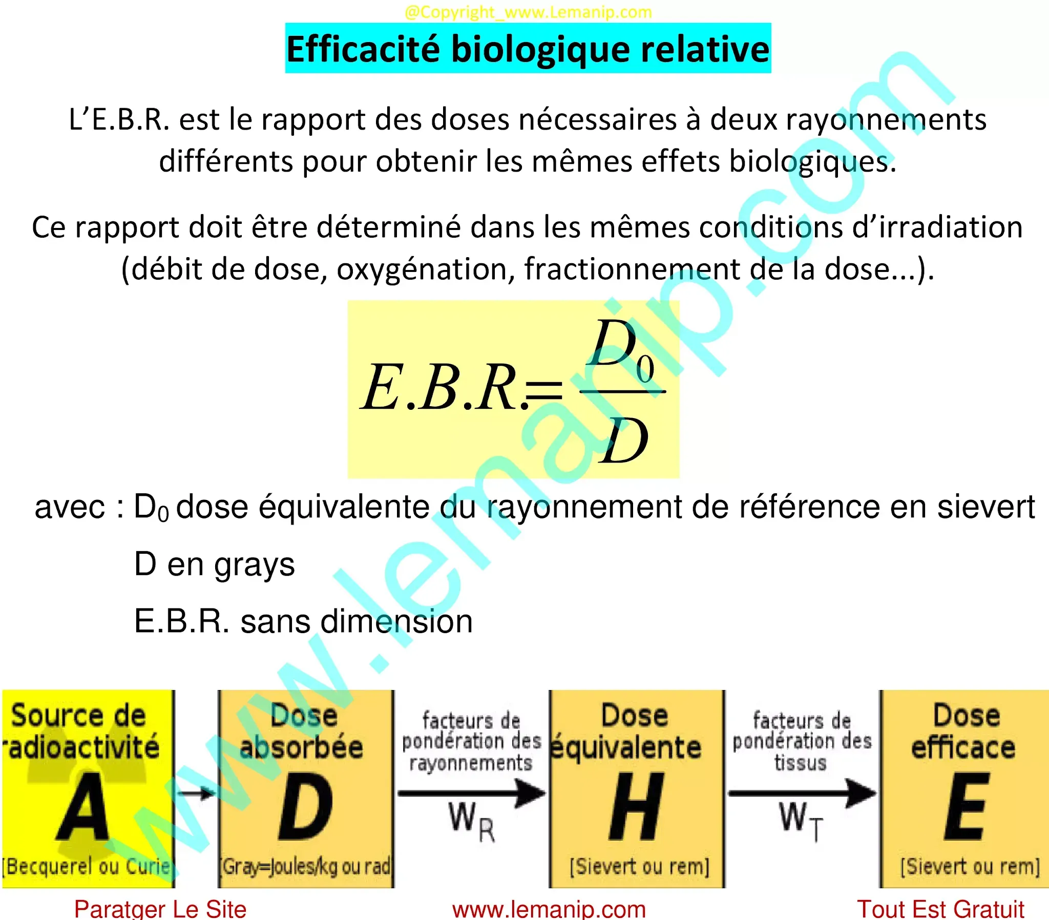 Efficacité biologique relative