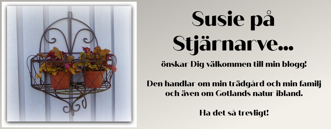 SUSIE PÅ STJÄRNARVE...