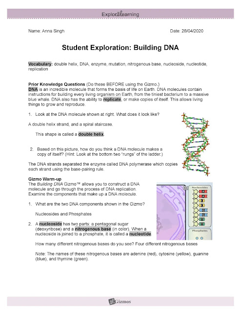 Anna S. Student Exploration Building DNA PDF free download