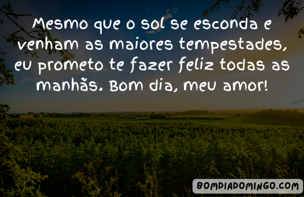 bom dia meu amor, mensagem de bom dia amor, bom dia amor da minha vida, frases de bom dia amor, mensagens de bom dia amor