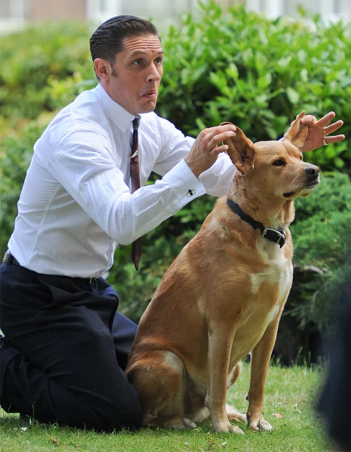 Heartwarming Photos Of Tom Hardy With Puppies Are Going Viral, And They’ll Melt Your Heart