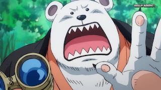 ワンピースアニメ 901話 ワノ国編 | ONE PIECE ハートの海賊団 ベポ かわいい Heart Pirates BEPO