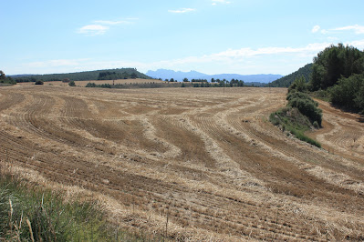 GR-7 BELLPRAT A JORBA (PONT DEL GANXO), Camí de Mas Jordà al terme municipal de Jorba i als Plans de Mas Jordà