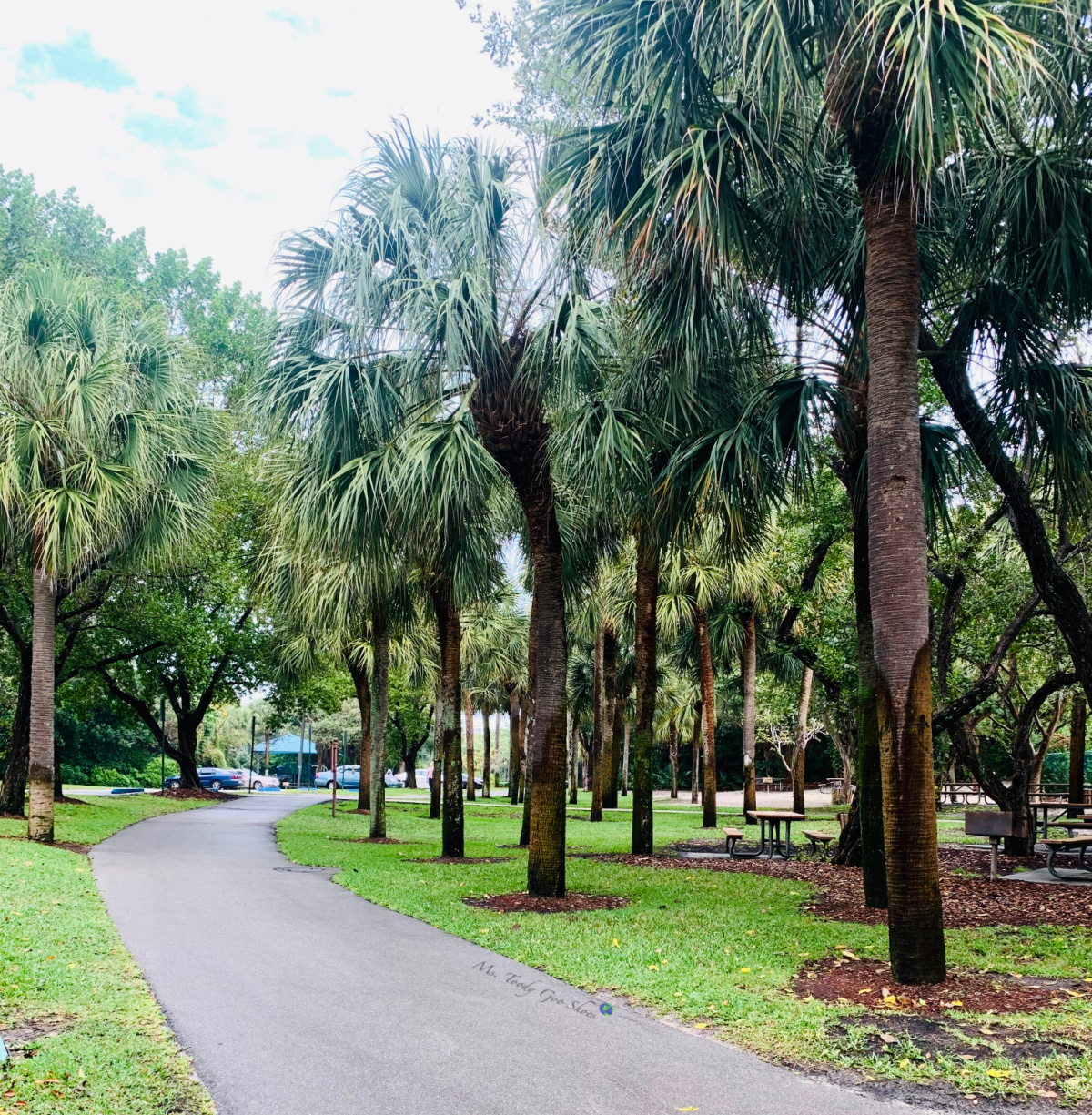 South Florida's Red Reef Park | Ms. Toody Goo Shoes