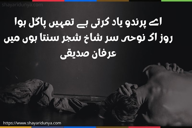 Pagal shayari | Pagal Poetry | Pagal shayari 2 line | Pagal shayari image