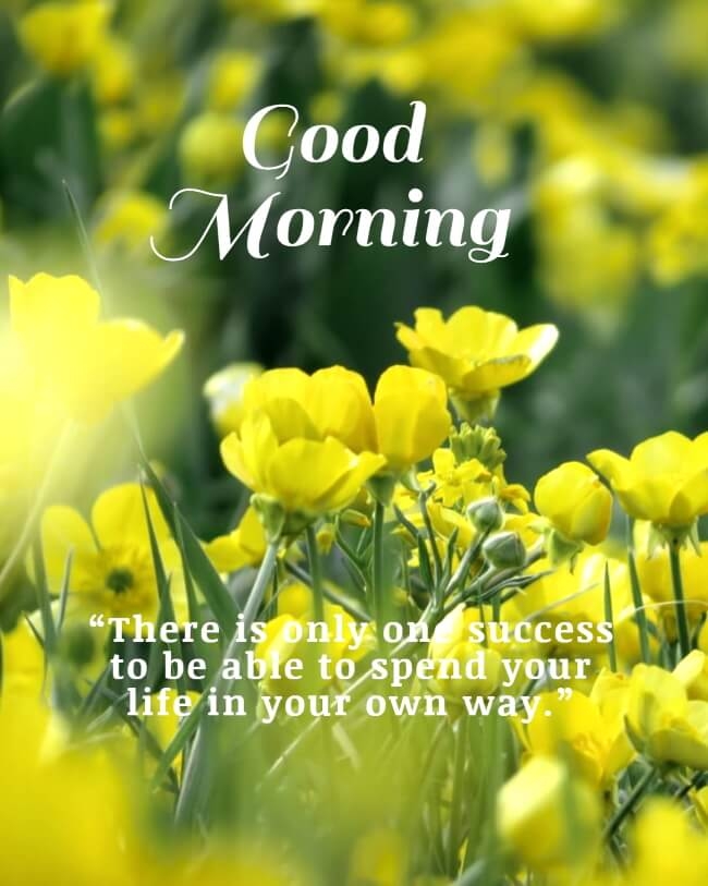 good morning photo download hd, good morning photo frame download, good morning photo whatsapp, good morning photo love you, good morning photo in hindi