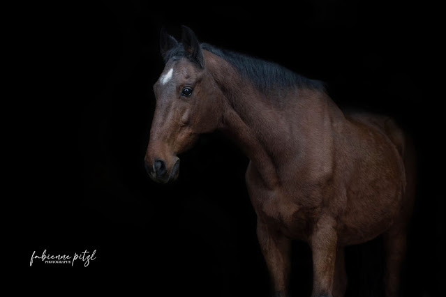 Kinderreiten nähe St. Pölten