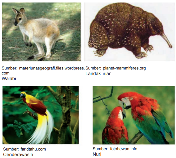 Persebaran Fauna di Indonesia