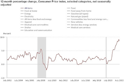 CHART: Consumer Price Index, 12-Month Percentage Change, Selected Categories, July 2022 UPDATE