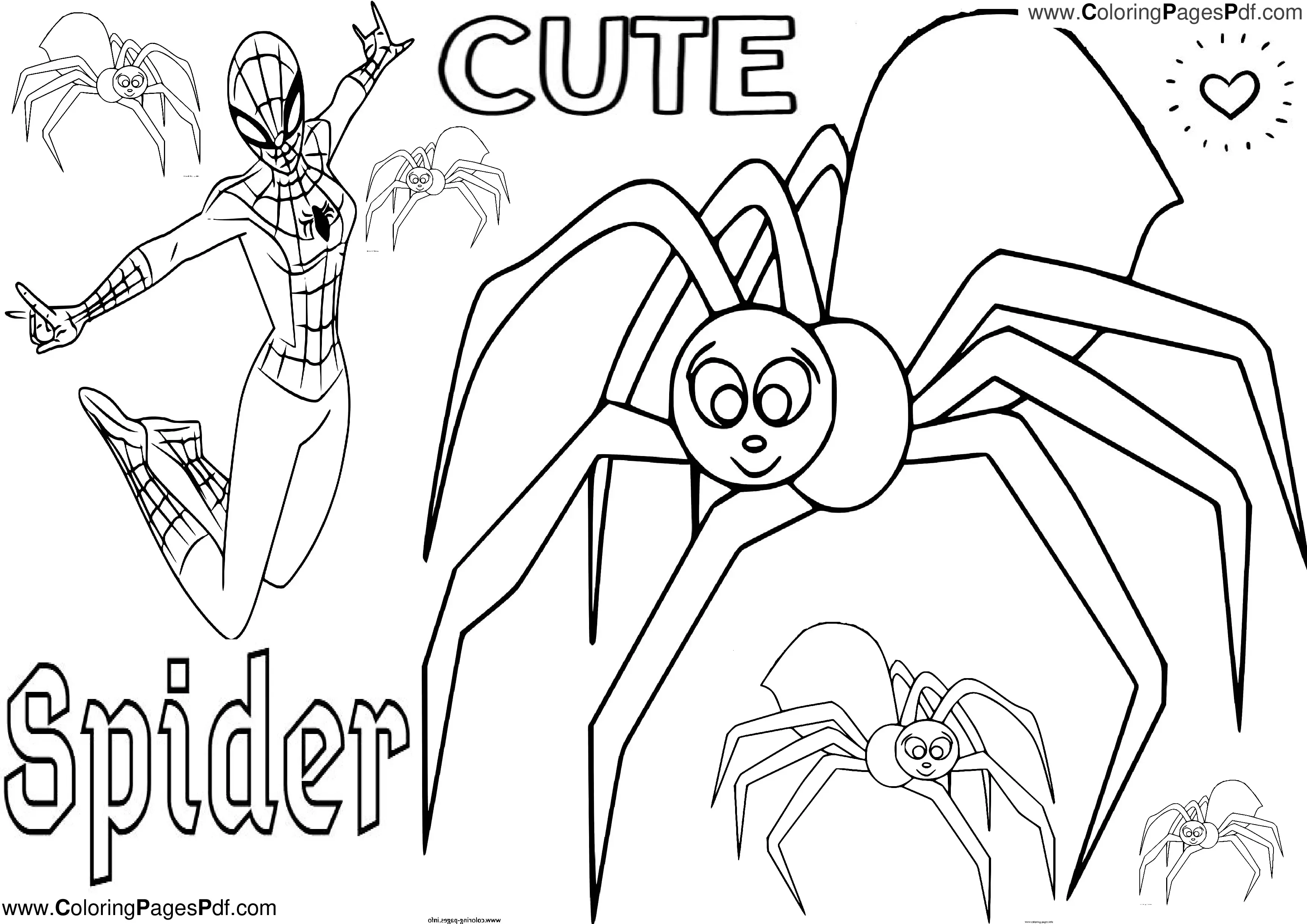 spider printable coloring pages,spider coloring page printable,spider coloring pages to print,coloring sheets,color by number printable,heart coloring page,printable coloring sheets,bluey coloring page