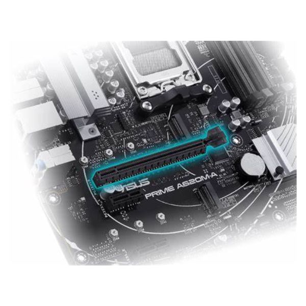 Mainboard Asus Cao Cấp