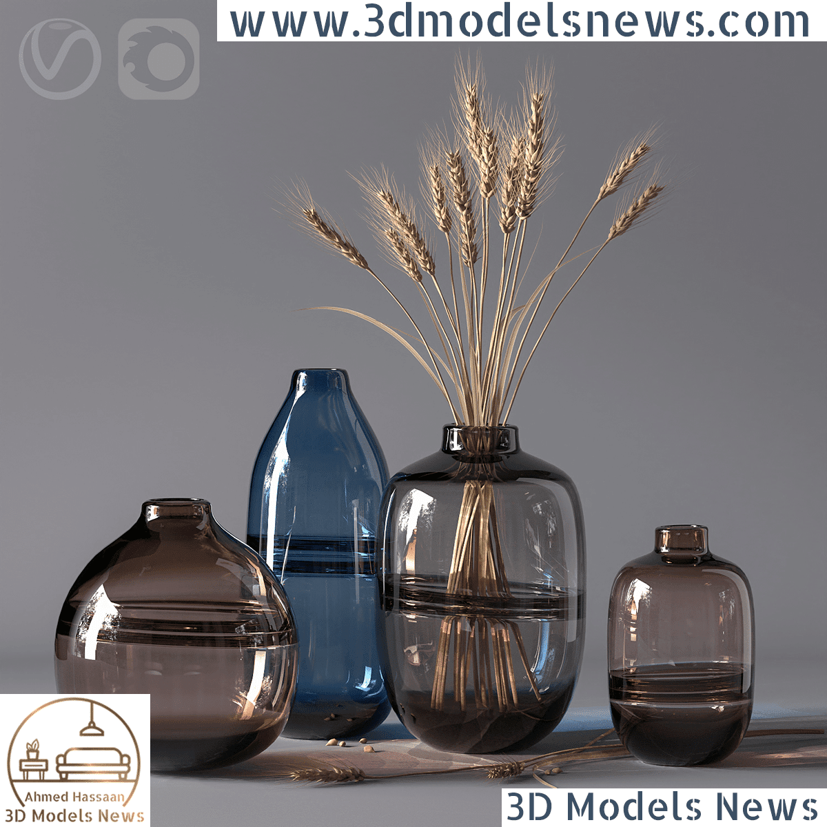 Minimalist Clear Glass Vase Model