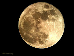 Luna llena