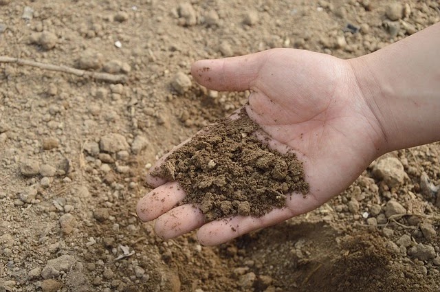  மண் என்றால் என்ன?/ What is soil?