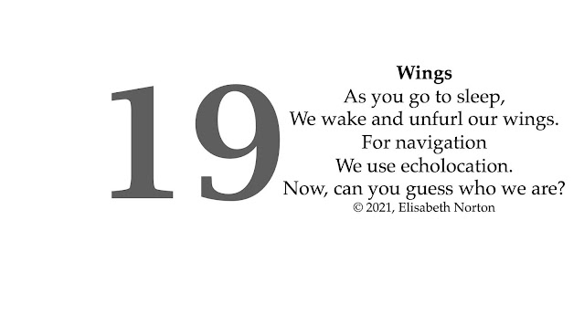 Spooktober Poem 19: Wings As you go to sleep, We wake and unfurl our wings. For navigation We use echolocation. Now, can you guess who we are? © 2021, Elisabeth Norton