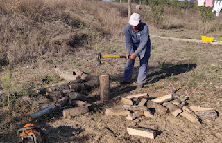 Bekir splitting the final logs