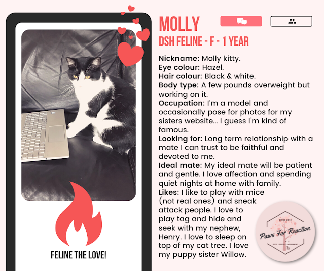 Be my Valentine: Adorable dog and cat online dating profiles seeking the perfect 'mate'