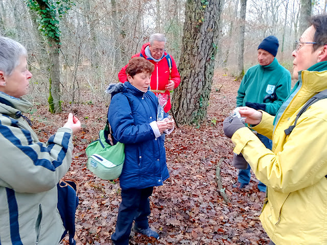 Taking a break in the forest, Indre et Loire, France. Photo by Loire Valley Time Travel.