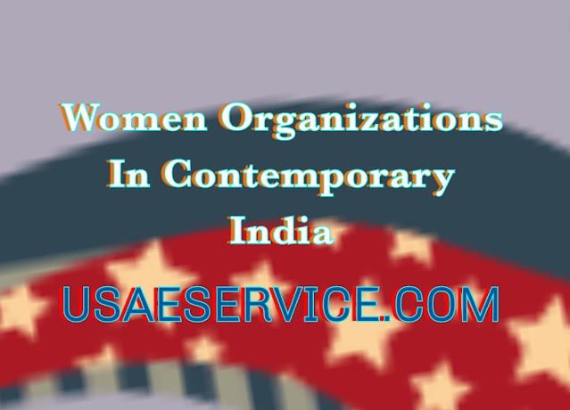 Women Organizations In Contemporary usa