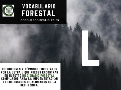 Vocabulario L, Silvicultura en España