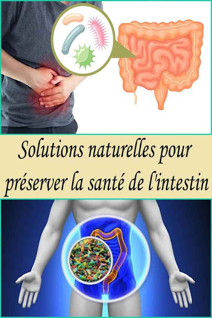 Solutions naturelles pour préserver la santé de l'intestin